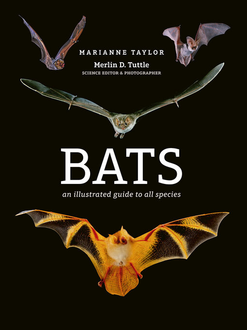 Title details for Bats by Marianne Taylor - Available
